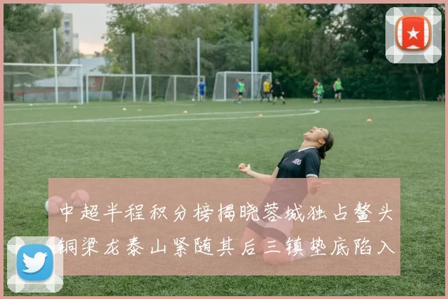 中超半程积分榜揭晓蓉城独占鳌头铜梁龙泰山紧随其后三镇垫底陷入困境