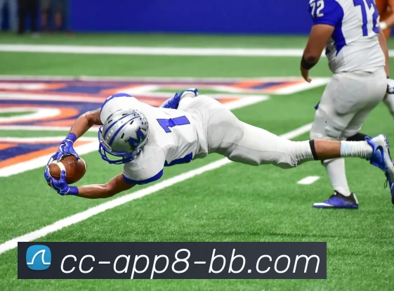 贝博体育APP 封面图